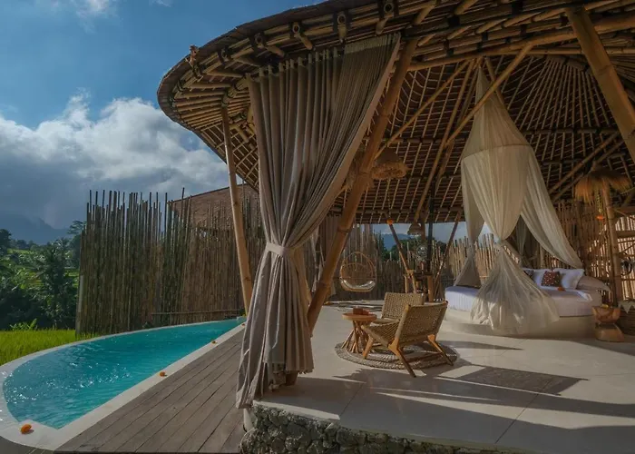 Nivriti Bali *