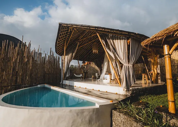 Nivriti Bali *