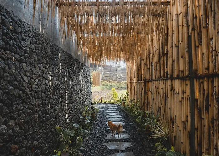Nivriti Bali Villa *