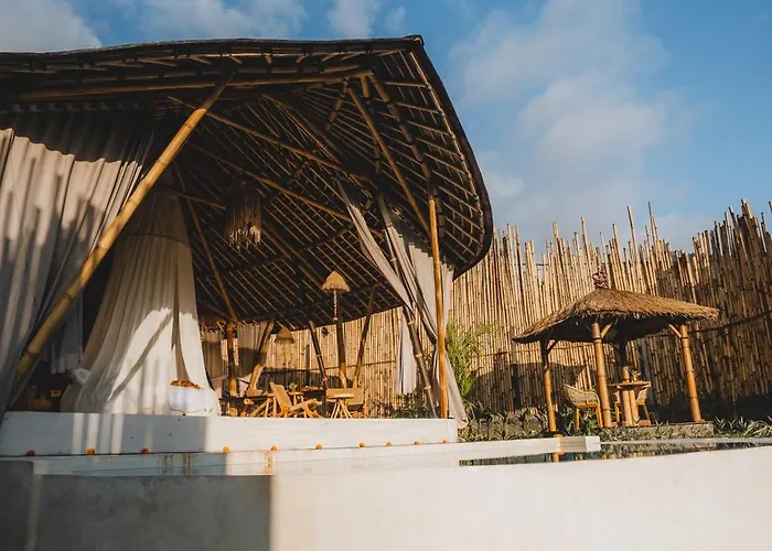Nivriti Bali