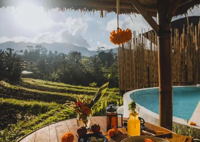 Nivriti Bali