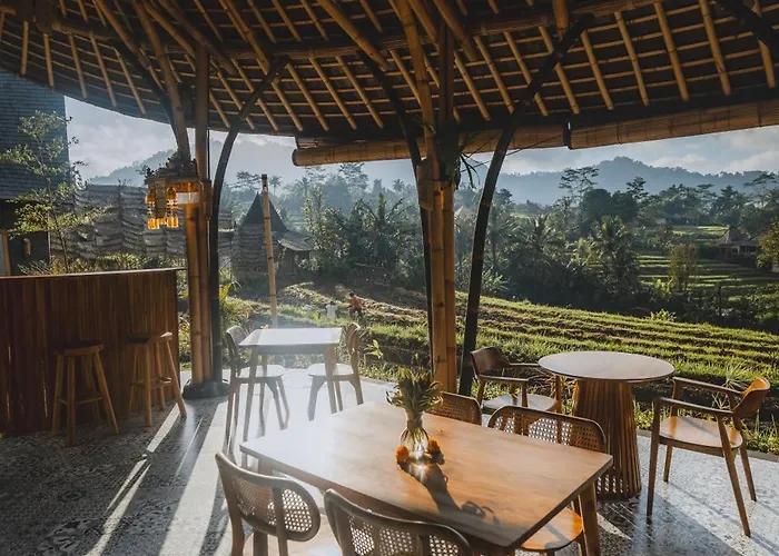 Nivriti Bali *