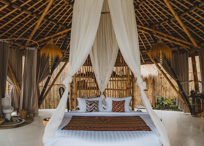 Nivriti Bali *
