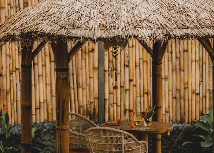 Nivriti Bali *