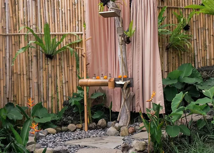 Nivriti Bali *