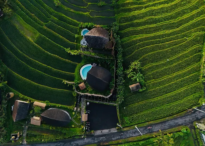 Nivriti Bali